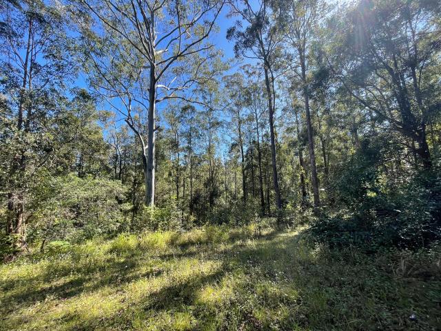 Property for sale in Wadeville, Kyogle Council