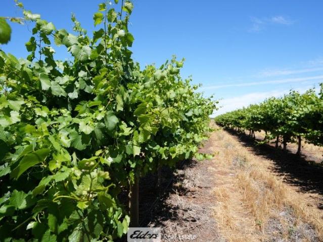 Cottage for sale in Yenda, New South Wales