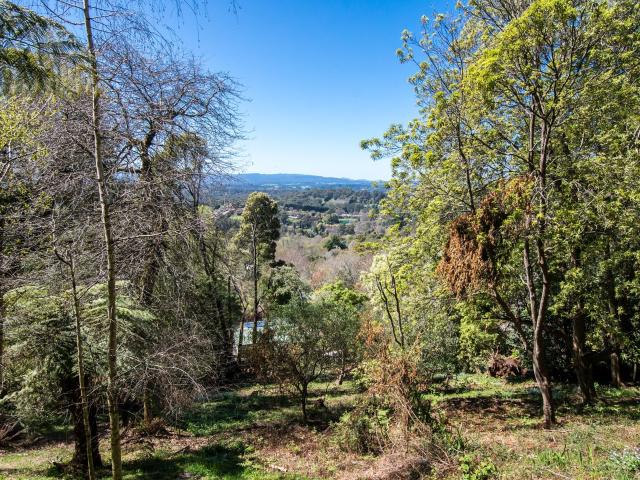 Property for sale in Camerons Creek, Victoria