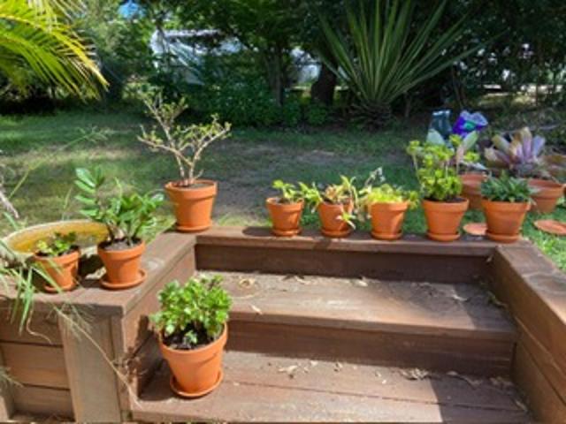 Cottage for sale in Toombul, Queensland