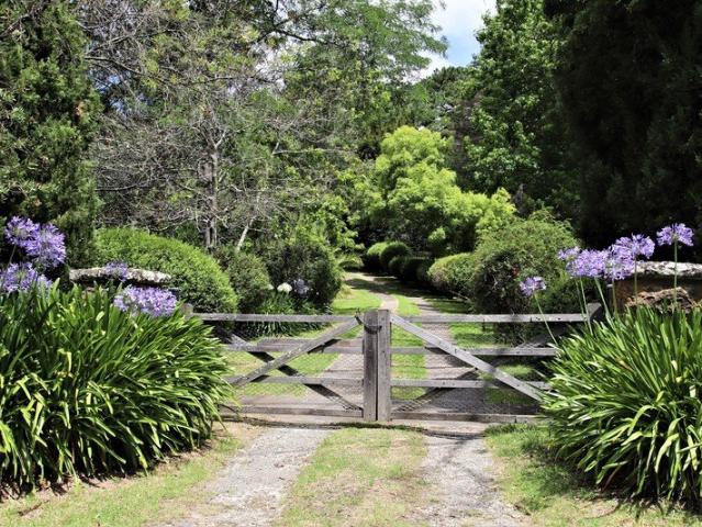 Cottage for sale in Alpine, Wingecarribee Shire Council