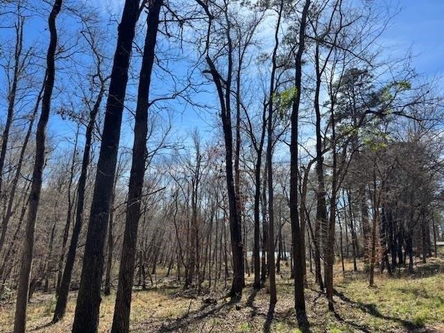 Land for sale in Frankston, Texas