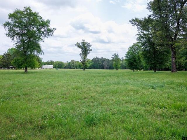 Land for sale in Palestine, Texas