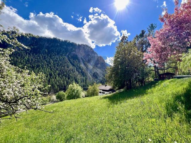 Immobilie kaufen in Bergün, Bravuogn, Graubünden