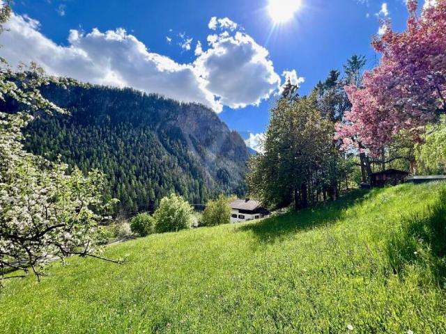 Immobilie kaufen in Bergün, Bravuogn, Graubünden
