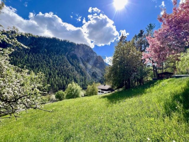 Grundstück kaufen in Bergün, Bravuogn, Graubünden