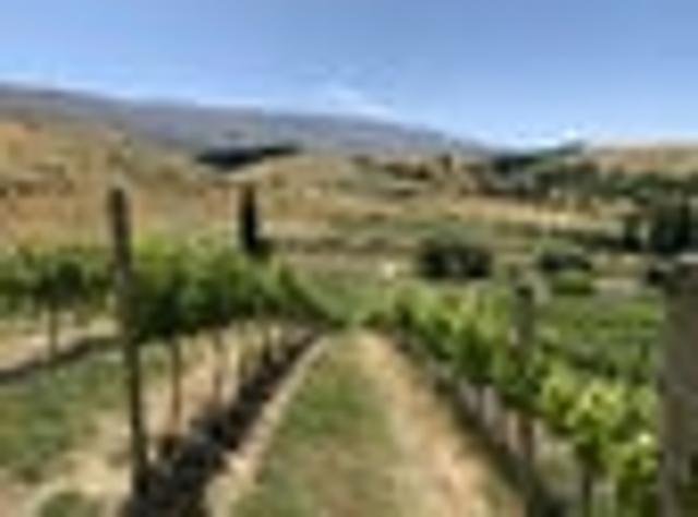 Land for sale in Otakou