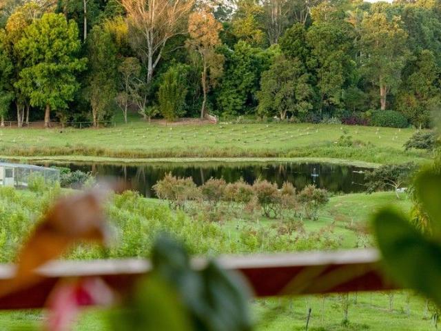 House for sale in Kings Creek, Queensland