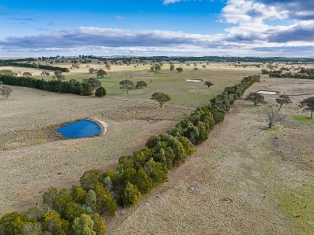 Cottage for sale in Bango, New South Wales