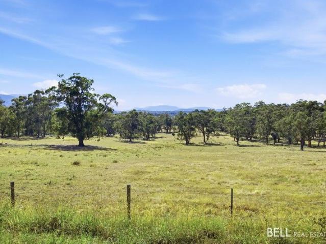 Land for sale in Camerons Creek, Victoria