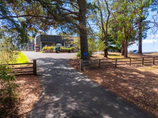 Land for sale in Camerons Creek, Victoria
