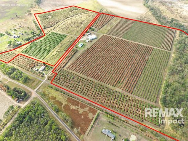 Property for sale in Chewko, Queensland