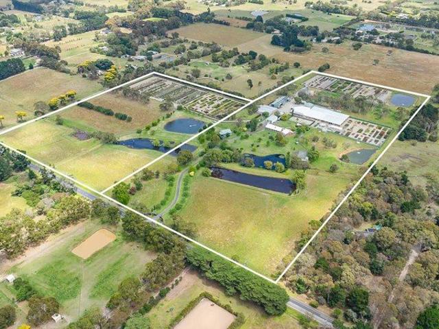 Cottage for sale in Camerons Creek, Victoria