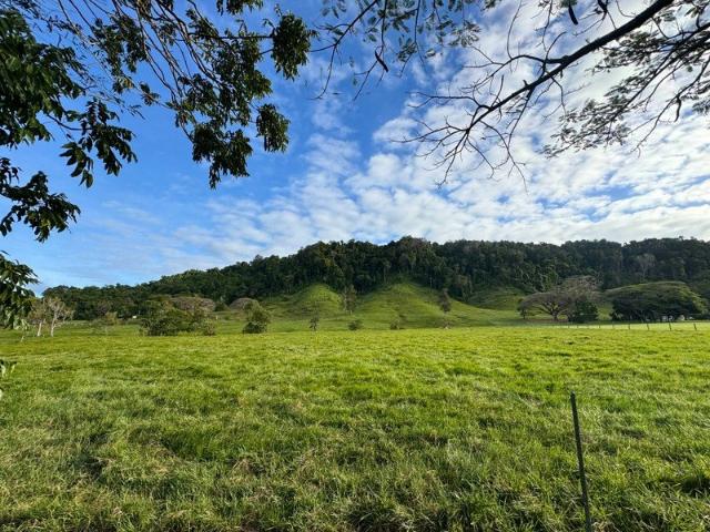 Land for sale in Daintree, Queensland