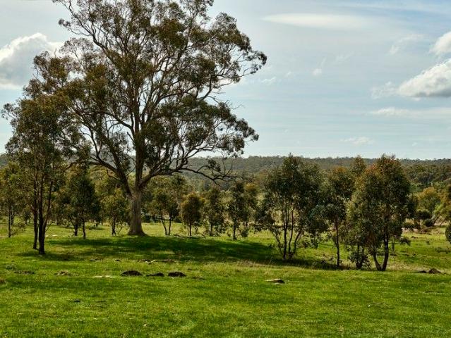 Land for sale in Heathcote, Victoria