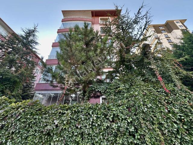 Şehitlik Mahallesi, Polatlı içerisinde kiralık mülk