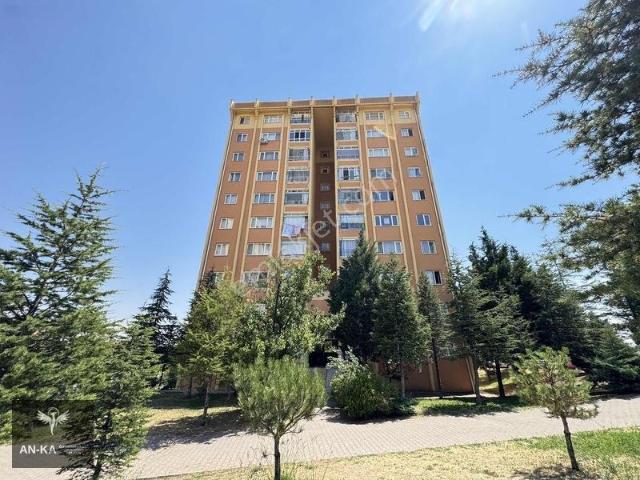 Polatli, Ankara içerisinde satılık mülk