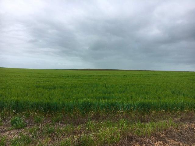Acreage for sale in Ramsay, South Australia