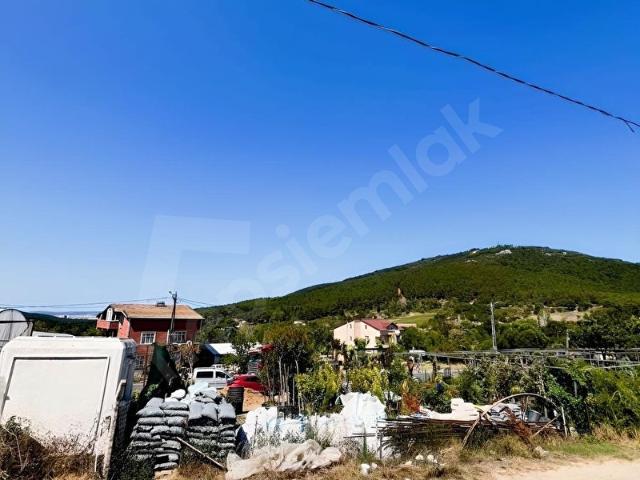 Kartal, İstanbul içerisinde satılık mülk