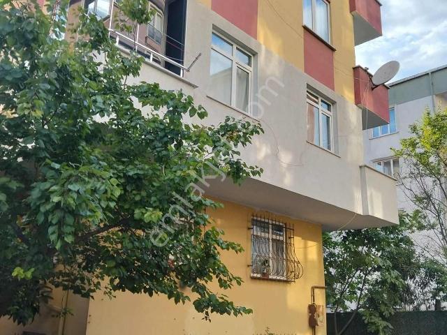 Pendik, İstanbul içerisinde satılık mülk