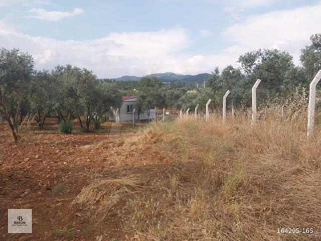Torbali, İzmir içerisinde satılık Arsa