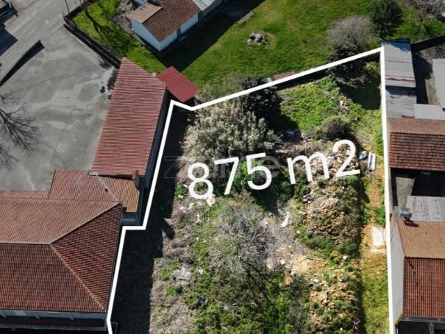 Terreno venda em Anadia, Aveiro