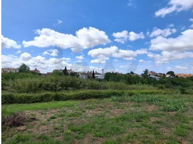 Terreno venda em Anadia, Aveiro