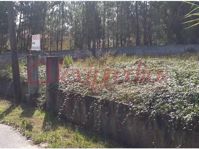 Terreno venda em Anadia, Aveiro