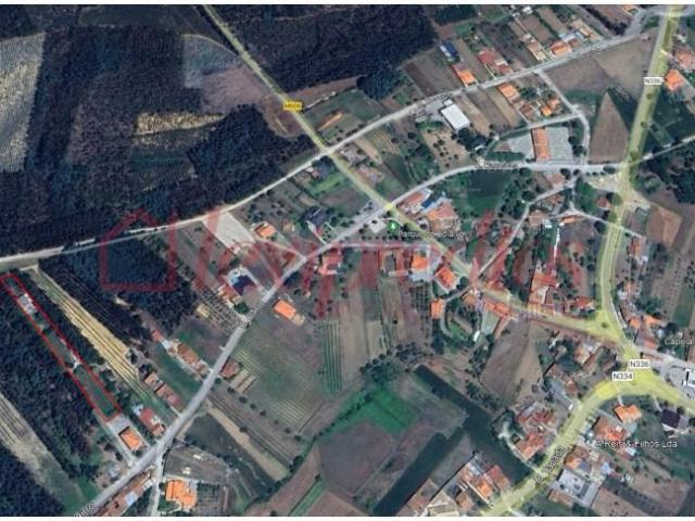Terreno venda em Anadia, Aveiro