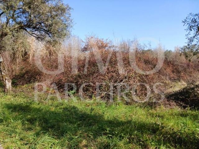 Terreno venda em Anadia, Aveiro