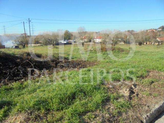 Terreno venda em Anadia, Aveiro