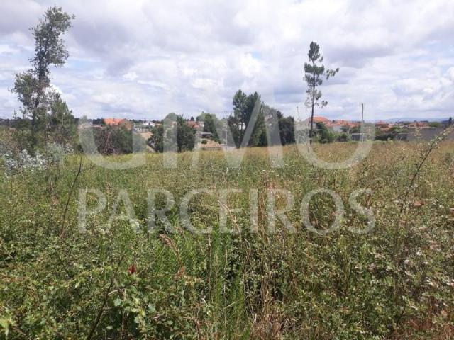 Terreno venda em Anadia, Aveiro