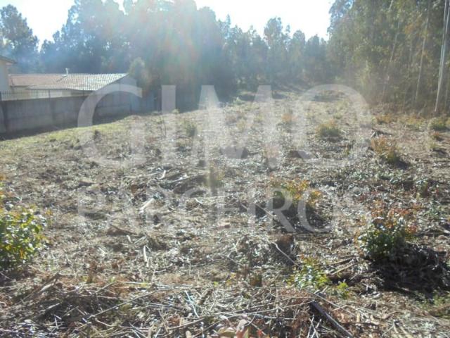Terreno venda em Anadia, Aveiro