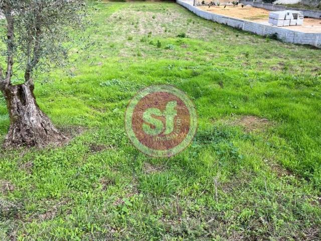 Terreno venda em Anadia, Aveiro