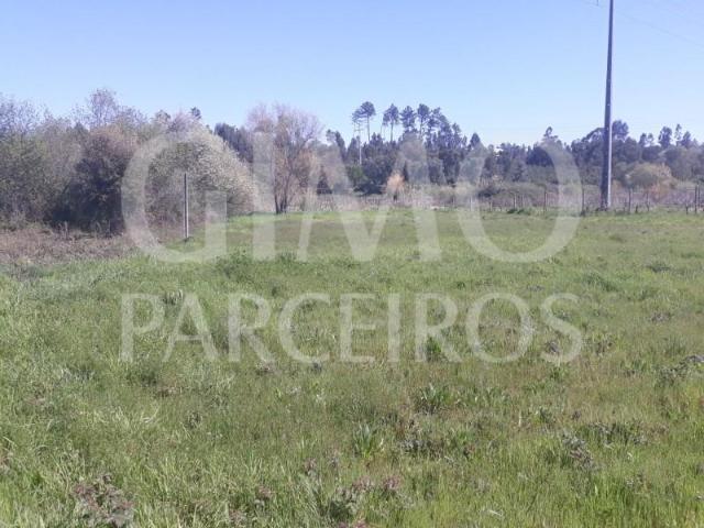 Terreno venda em Anadia, Aveiro