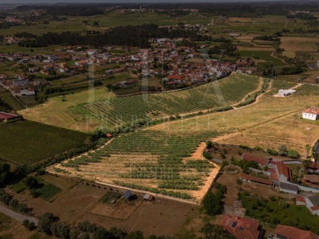 Terreno venda em Anadia, Aveiro