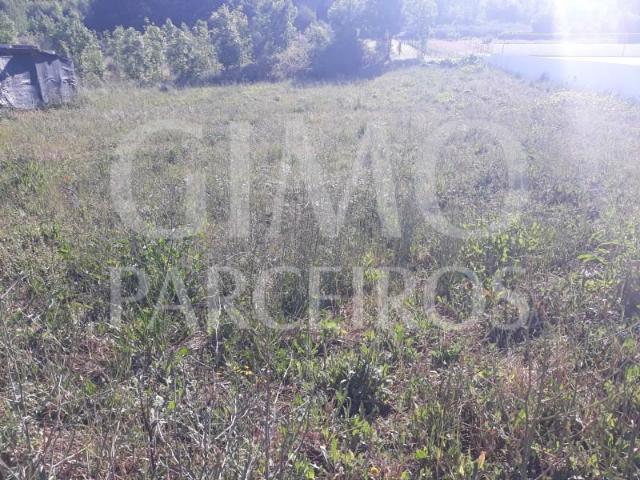Terreno venda em Anadia, Aveiro