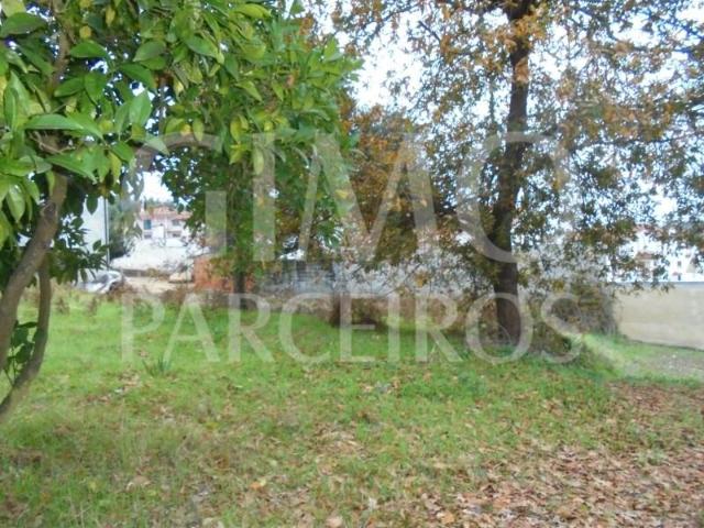 Terreno venda em Anadia, Aveiro