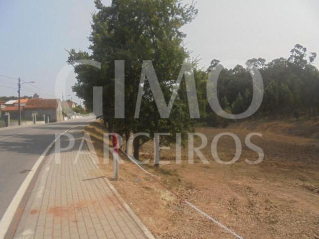 Terreno venda em Anadia, Aveiro