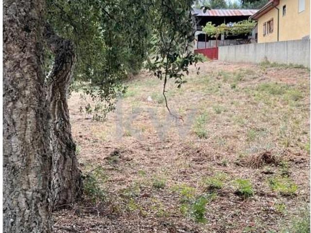 Terreno venda em Anadia, Aveiro