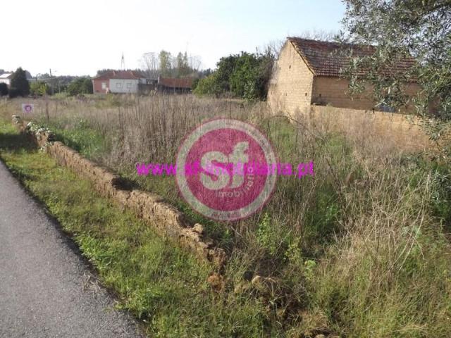 Terreno venda em Anadia, Aveiro