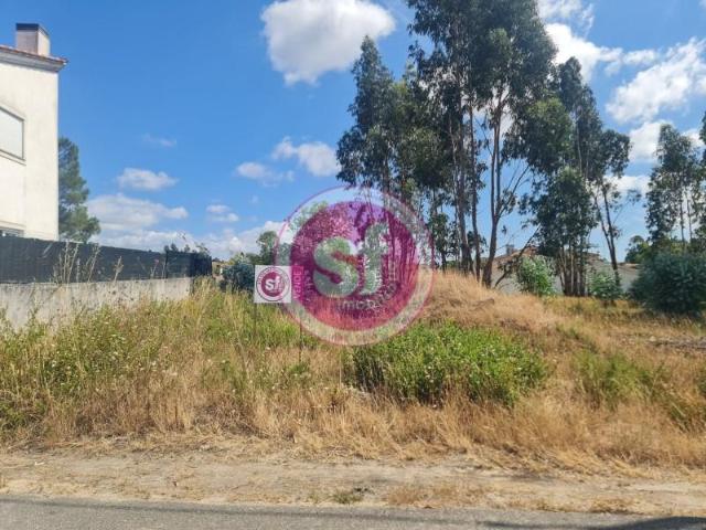 Terreno venda em Anadia, Aveiro