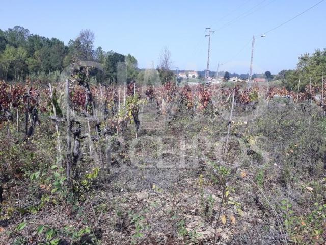 Terreno venda em Anadia, Aveiro