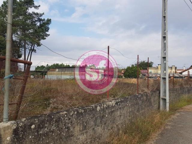 Terreno venda em Anadia, Aveiro