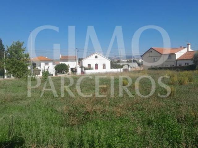 Terreno venda em Anadia, Aveiro
