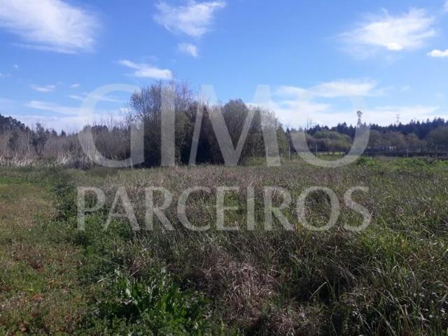 Terreno venda em Anadia, Aveiro