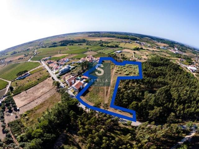 Terreno venda em Anadia, Aveiro