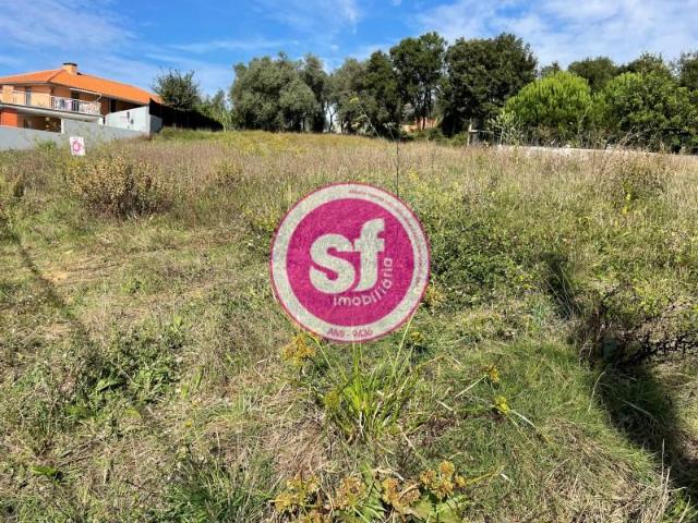 Terreno venda em Anadia, Aveiro