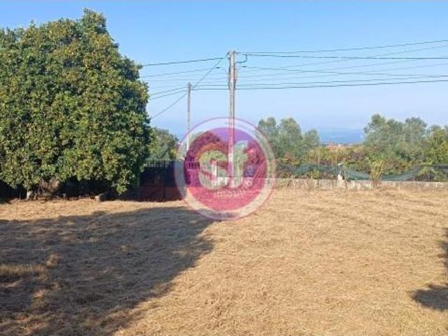 Terreno venda em Anadia, Aveiro
