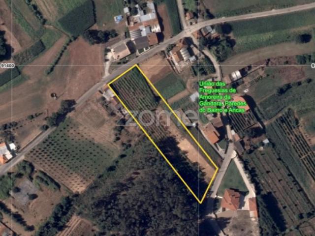 Terreno venda em Anadia, Aveiro